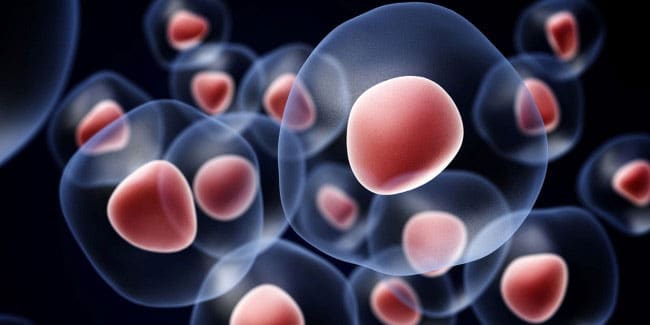 stem-cells-costa-rica