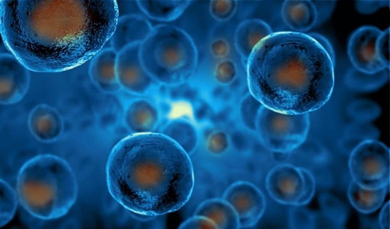 Stem cells Case Studies