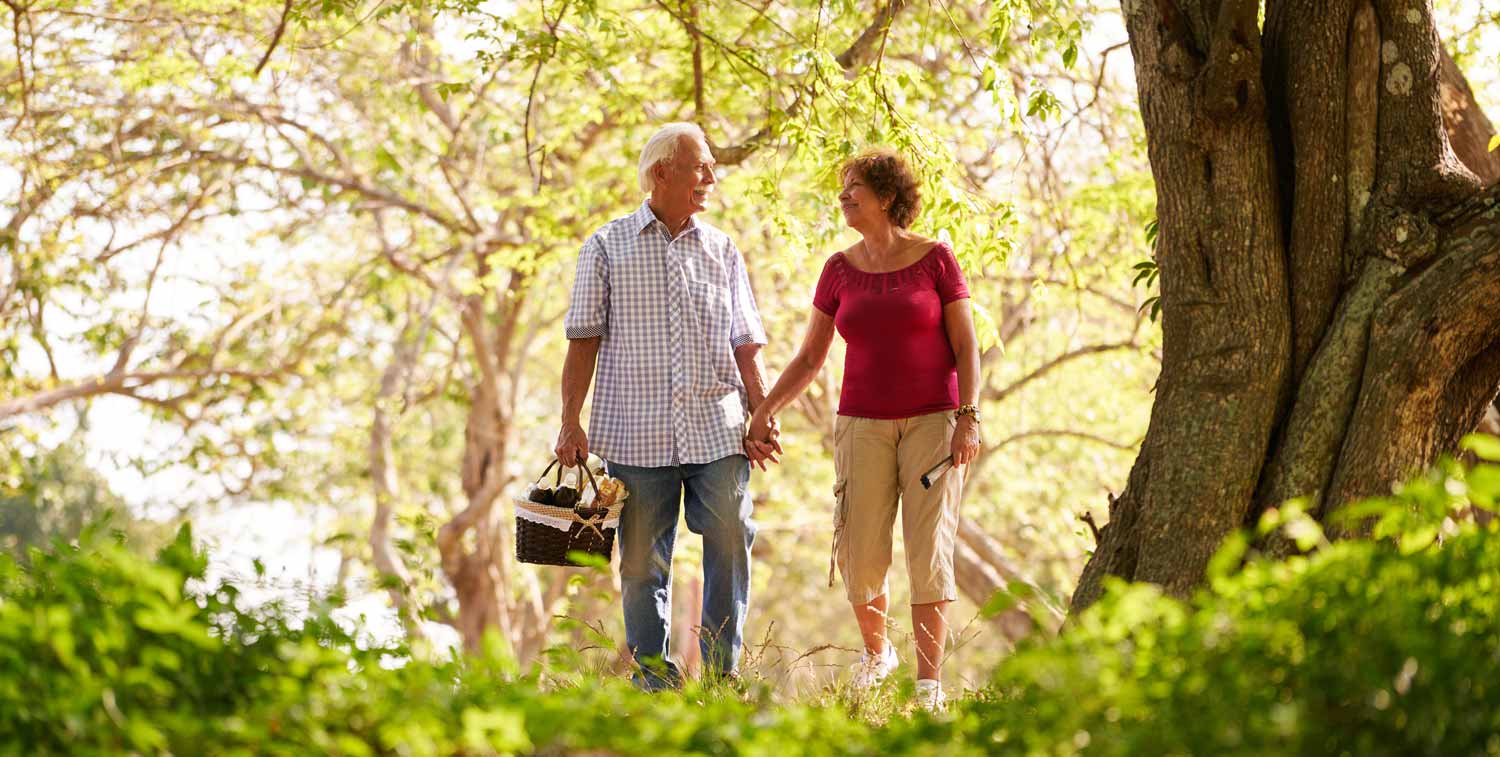 Better life with stem cells