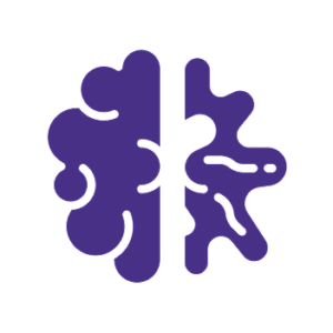 Icono minimalista de un cerebro humano de color púrpura que destaca la división entre los dos hemisferios cerebrales sobre un fondo negro sólido.