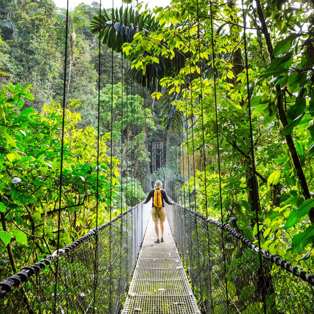 hiking green tropical jungle costa rica central america 1 - Stem Cells Costa Rica