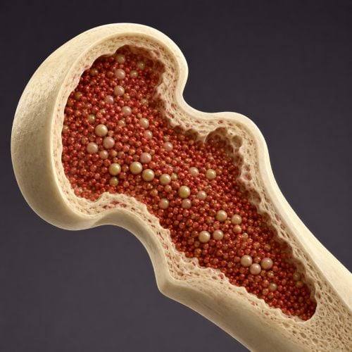 Stem Cell Therapy 5 Stem Cells Bone Marrow Stem Cells Transplant Institute Costa Rica - Stem Cells Costa Rica
